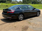 Used 2016 Honda Accord LX image 5