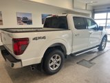 New 2025 Ford F150 XLT image 5