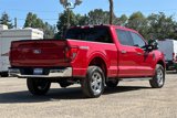 New 2025 Ford F150 XLT w/ Equipment Group 302A MID image 4