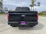 New 2025 Ford F150 XLT w/ Equipment Group 302A MID image 4