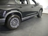 New 2026 Honda Passport TrailSport image 4