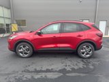 New 2025 Ford Escape ST-Line w/ Tech Pack #1 image 4