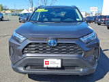 Certified 2024 Toyota RAV4 XLE image 2