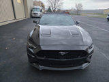 Used 2023 Ford Mustang GT Premium w/ Equipment Group 401A image 3