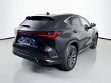 New 2026 Lexus NX 350 AWD w/ Premium Package image 5