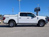 Used 2024 Ford F150 XLT w/ Equipment Group 302A MID image 4