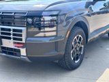 New 2026 Hyundai Palisade XRT Pro image 5