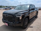 New 2025 Toyota Tundra SR5 image 3