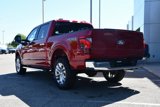 New 2025 Ford F150 XLT w/ Equipment Group 303A High image 4