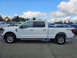 Used 2024 Ford F150 XLT image 4