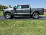 New 2025 Ford F150 XLT image 2