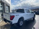 New 2025 Ford F150 XLT w/ Equipment Group 302A MID image 3