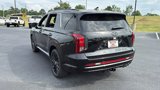 New 2025 Hyundai Palisade Calligraphy image 5