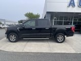 Certified 2022 Ford F150 XLT w/ Equipment Group 302A High image 5