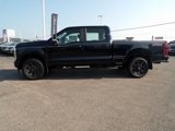 New 2025 Ford F250 XL w/ STX Appearance Package image 2