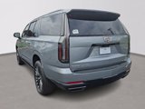 New 2025 Cadillac Escalade ESV Sport Platinum image 3