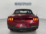 New 2025 Ford Mustang GT Premium image 4