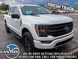 Used 2023 Ford F150 Tremor image 5