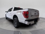 Certified 2023 Ford F150 Tremor image 3