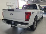 New 2025 Ford F150 XLT w/ Equipment Group 301A Standard image 5