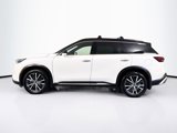 Used 2024 INFINITI QX60 Autograph w/ Cargo Package image 2
