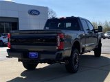 New 2025 Ford F250 Platinum image 4