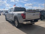 New 2025 Ford F150 XLT w/ Equipment Group 302A MID image 5