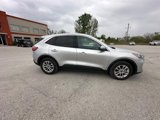 Used 2020 Ford Escape SE image 2
