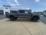 New 2025 Ford F250 Platinum image 2