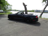 Used 2023 Ford Mustang GT image 5