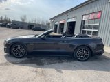 Used 2022 Ford Mustang GT Premium w/ Equipment Group 401A image 6