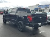 New 2025 Ford F150 XLT w/ Equipment Group 302A MID image 4