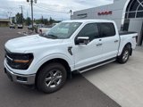 Certified 2025 Ford F150 XLT w/ Equipment Group 302A MID image 3