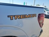 New 2025 Ford F150 Tremor image 5
