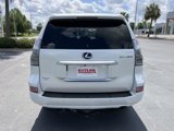 Used 2023 Lexus GX 460 Premium image 4