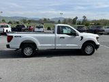 New 2025 Ford F150 XL image 5