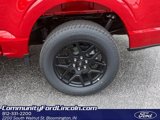 New 2025 Ford F150 STX w/ STX Black Appearance Package image 4