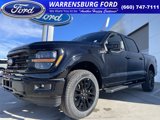 New 2025 Ford F150 XLT w/ Equipment Group 303A High image 3