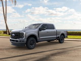 New 2025 Ford F250 Platinum image 2