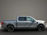 Used 2025 Ford F150 XLT w/ Equipment Group 302A MID image 6