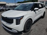 New 2026 Kia Carnival image 3