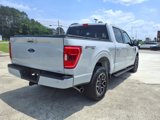 Used 2023 Ford F150 XLT w/ Equipment Group 302A High image 5