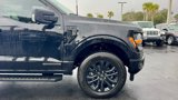 New 2025 Ford F150 XLT w/ Equipment Group 302A MID image 3