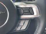 Used 2019 Ford Mustang Premium w/ Equipment Group 201A image 6
