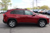 Used 2024 Toyota RAV4 XLE image 6