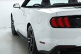 Used 2019 Ford Mustang Premium image 6