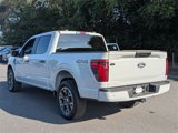 Used 2024 Ford F150 STX image 5