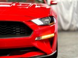 Used 2021 Ford Mustang Premium w/ Equipment Group 201A image 3