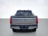 New 2025 Ford F150 XLT w/ Equipment Group 303A High image 4
