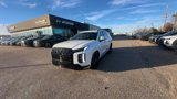 New 2025 Hyundai Palisade Calligraphy image 3